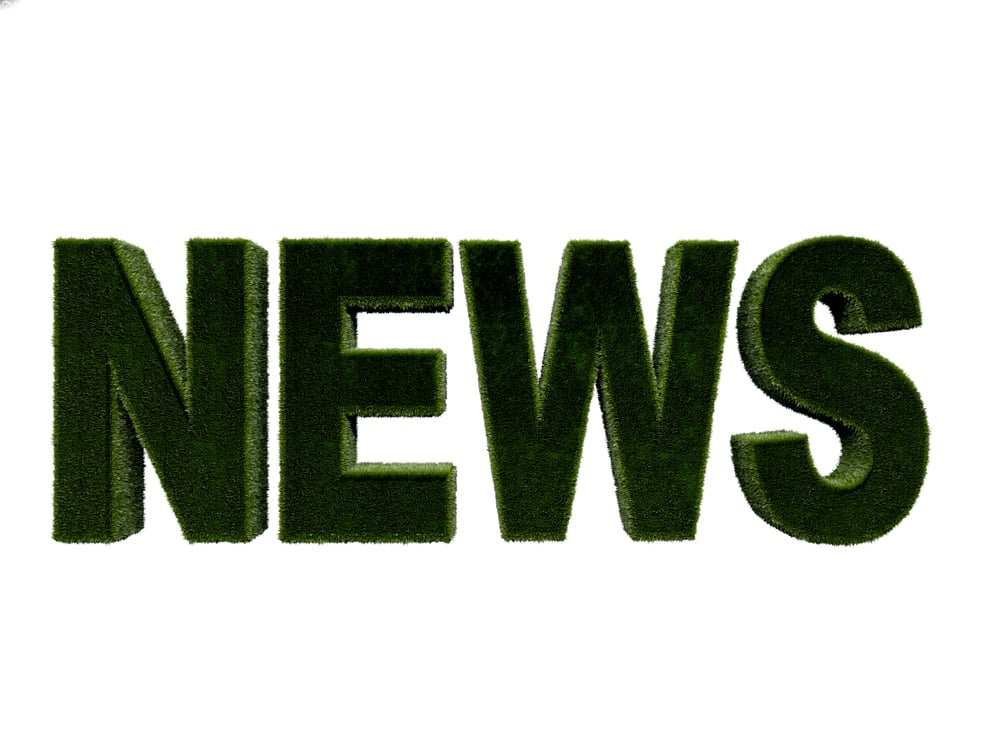 Word news in grass texture isolated over white